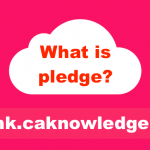 What is pledge?
