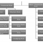Types of Risks