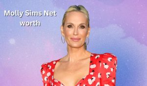 Molly-Sims-Net-worth