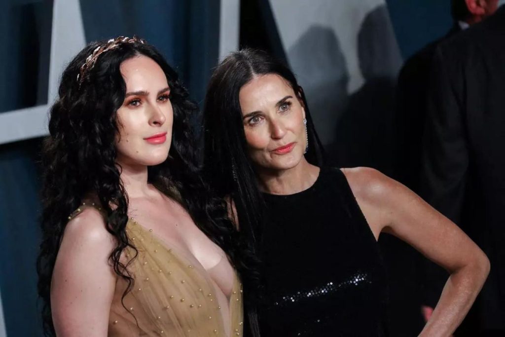Rumer-Willis-Income