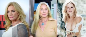 Shannon-Tweed-Net-worth