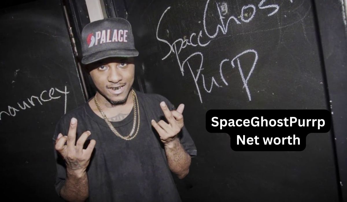 SpaceGhostPurrp-Net-worth