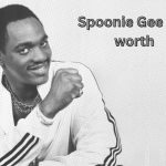 Spoonie-Gee-Net-worth