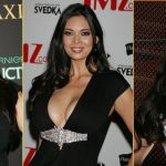 Tera-Patrick-Net-worth