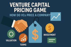 Venture Capital Pricing Game