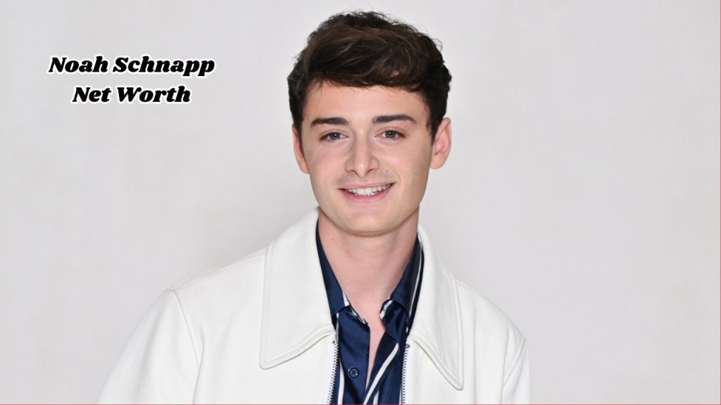 Noah Schnapp Net Worth: Stranger Things to Bank Account