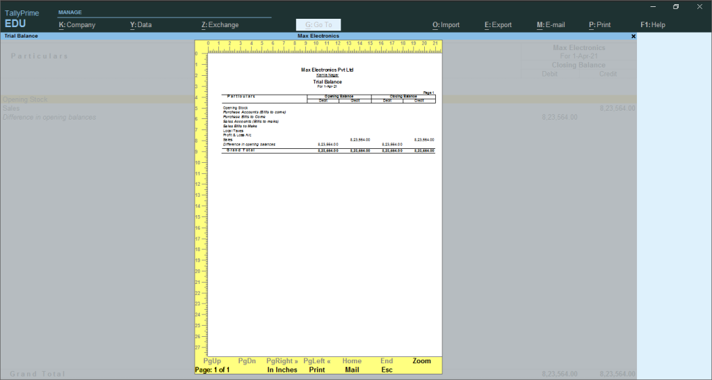 Preview Of Opening Balance Print Opening Balance in Tally image 6
