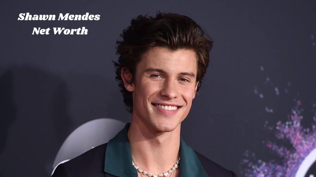 what's shawn mendes net worth
