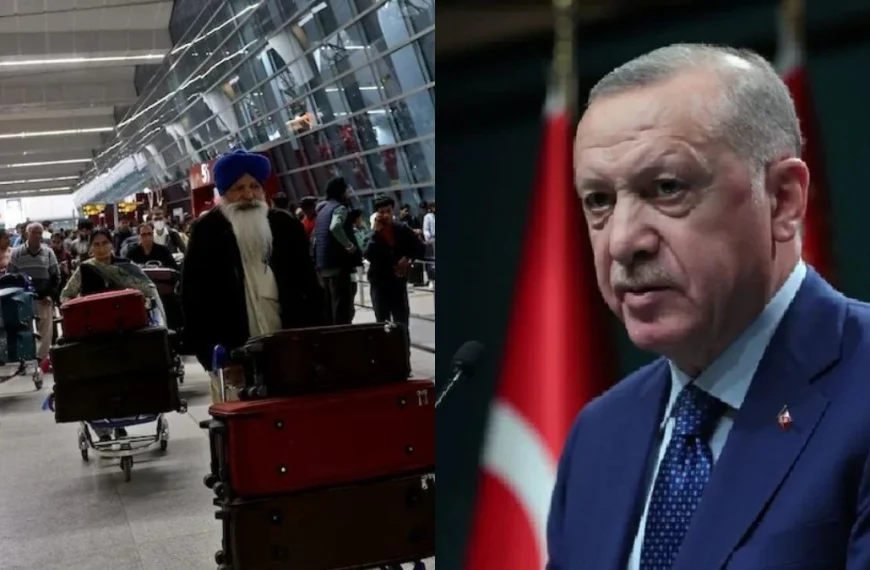 Boycott Turkey Impact